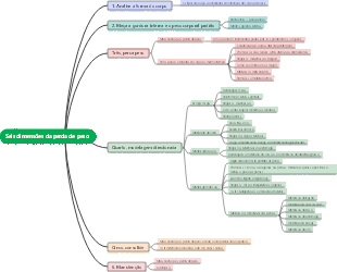 Seis dimensões da perda de peso