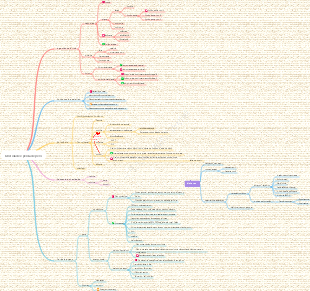 Mapa mental sobre obesidade e perda de peso