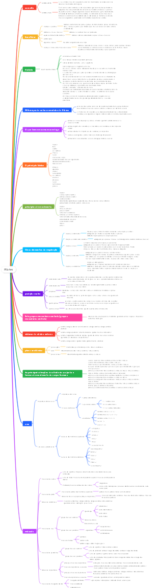 Mapa mental de Pilates
