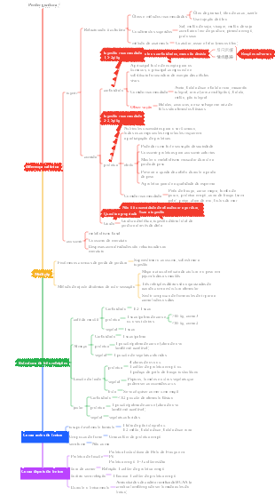Fitness - perda de gordura