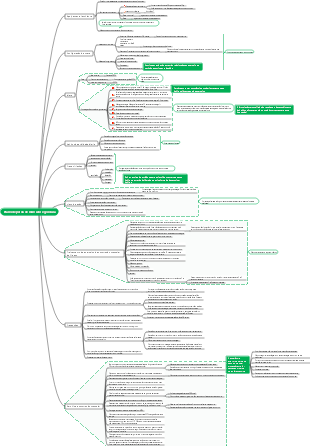Plano de perda de músculos e gordura
