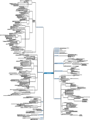 Краткая история человечества от животных до Бога