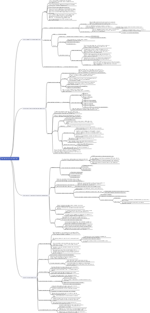 Краткая история человечества