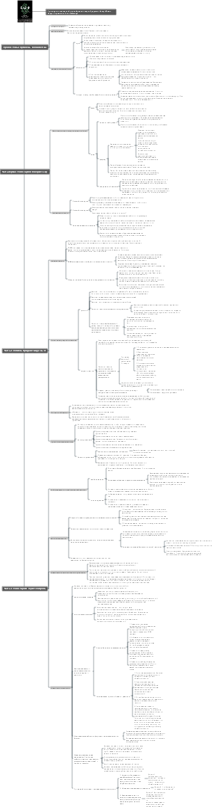 Примечания к ментальной карте «Краткая история будущего»
