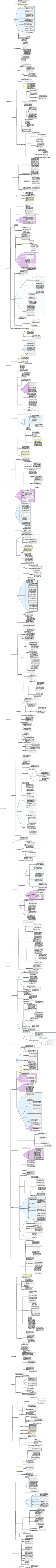 Noções básicas de gerenciamento de informações