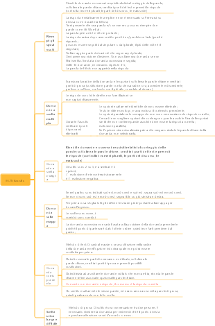 Riepilogo delle capacità di ascolto IELTS