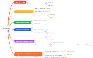 Mappa mentale logica digitale