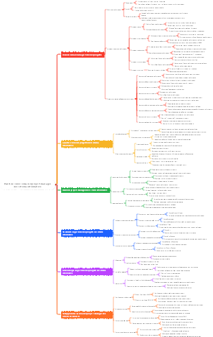 Punti di conoscenza del project manager del sistema informativo
