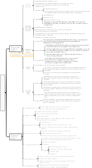 Capitolo 8 Supervisione e gestione