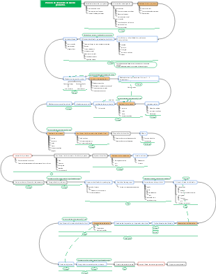 Mapa mental del proceso de desarrollo de productos