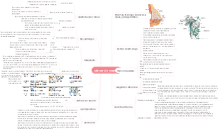 Mapa Mental Medicina-Cáncer de Mama