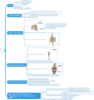 Mapa Mental Medicina-Hueso