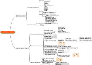Gestión Universitaria-Evolución histórica de la teoría de la gestión
