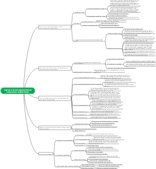 Mapa mental de gestión organizacional de empresas multinacionales