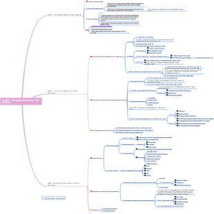 Psicologia Educacional Capítulo 1 Mapa Mental