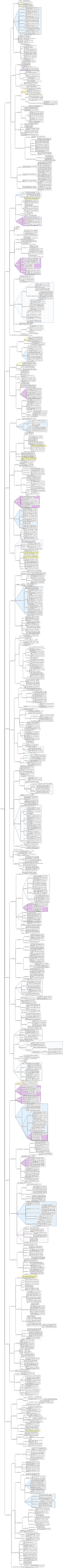 資訊管理學基礎