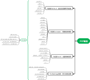 PEST模型﻿