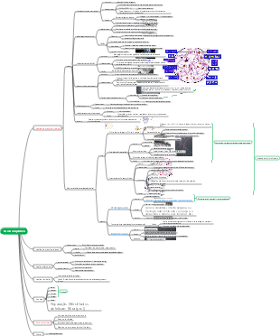 embrião → tecido conjuntivo