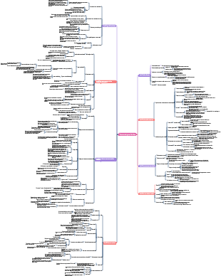 Notas de leitura de “Crescimento ao longo da vida”