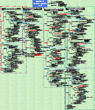 Patologia - distúrbio circulatório local