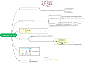Mapa mental de infecção por vírus e imunidade