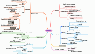 Genética Vegetal Capítulo 2 Base Celular e Molecular da Hereditariedade