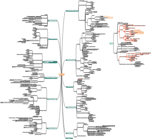 Mapa Mental Medicina-Estomatologia