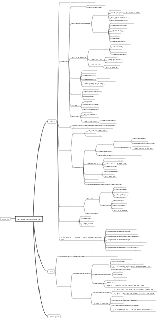 Anatomia Médica - Sistema Vascular