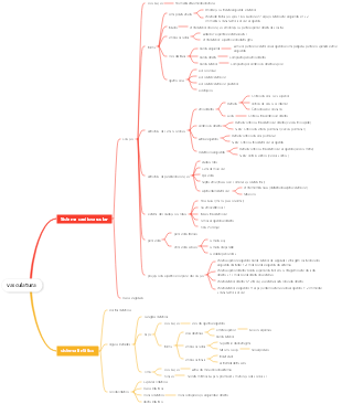 Anatomia Médica - Mapa Mental do Sistema Vascular