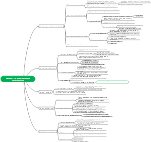 Comportamento Organizacional Capítulo 1