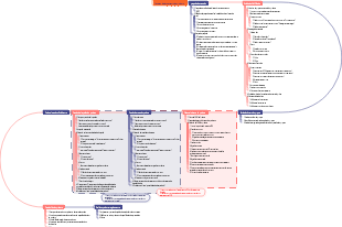 Processo de lançamento de produto