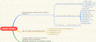 biooxidação médica