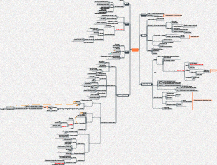 Notas de leitura Reduzindo o estresse da vida