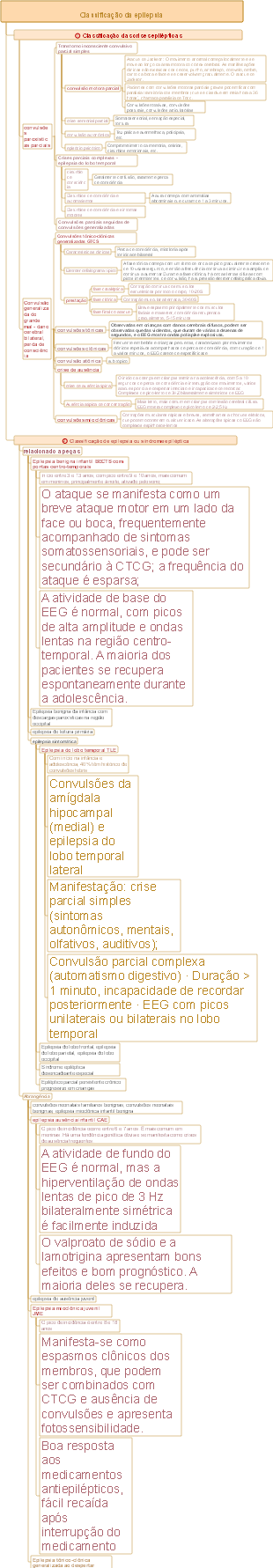 Classificação médica da epilepsia