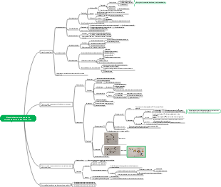 Transporte biomembrana e transmembrana de substâncias (1) Mapa mental