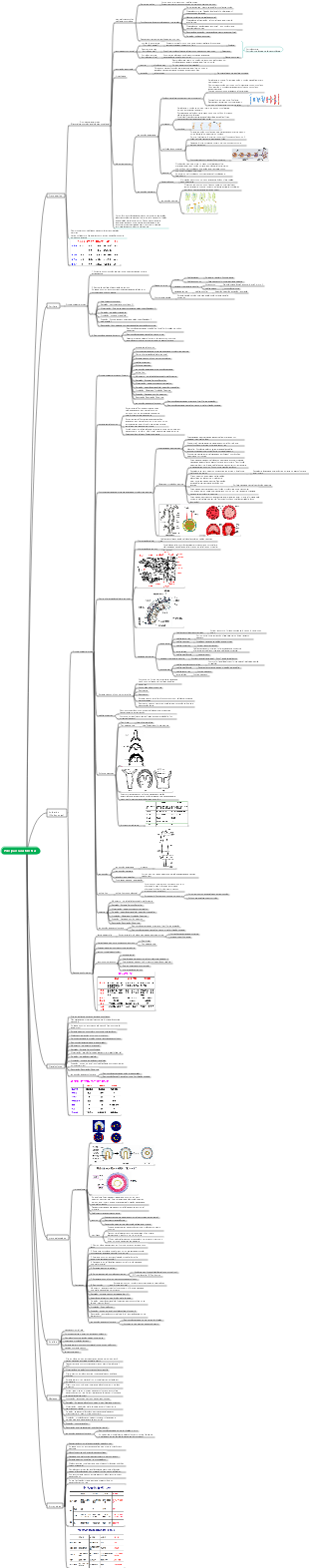 Zoologia·Invertebrados·Características Mapa Mental