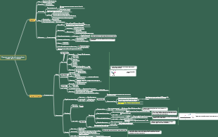 Despertar Cognitivo (Zhou Ling)