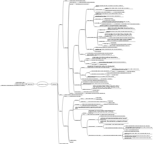 Mapa mental do sistema reprodutor feminino