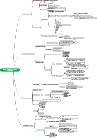 Mapa mental de gestão