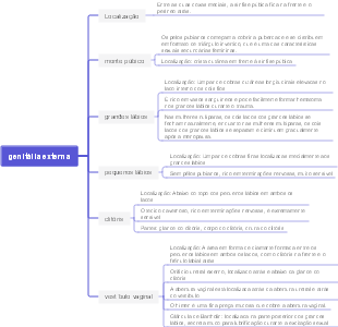Mapa Mental de Obstetrícia e Ginecologia