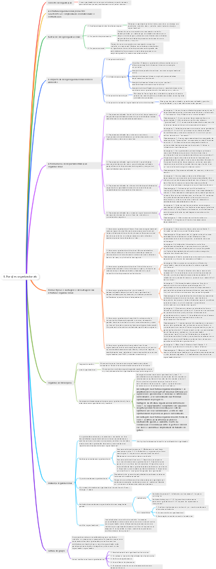 Mapa mental de funções gerenciais-organizacionais