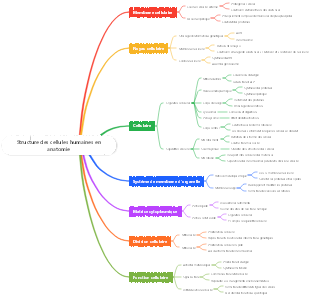 Structure des cellules humaines en anatomie