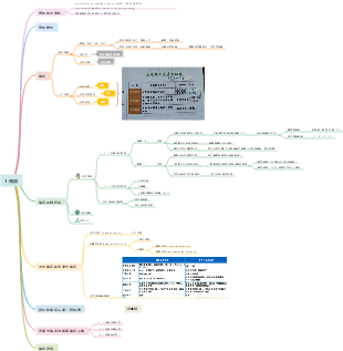 B細胞介導的體液免疫反應