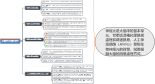 大腦神經元運作原理