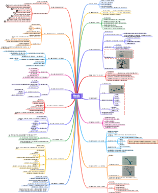 《讓愛回家》讀書筆記心智圖