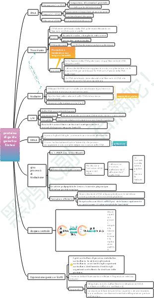 Il gene della biologia delle scuole superiori guida la sintesi proteica