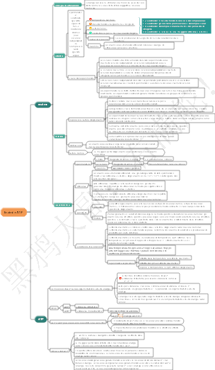 Mappa mentale degli enzimi biologici delle scuole superiori