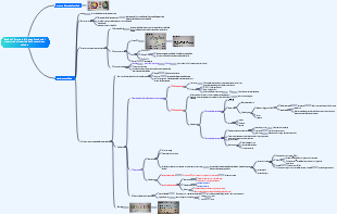 Fisiologia Sezione 1 Struttura di base e funzione di trasporto materiale della membrana cellulare