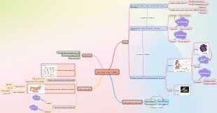 zuccheri nelle cellule