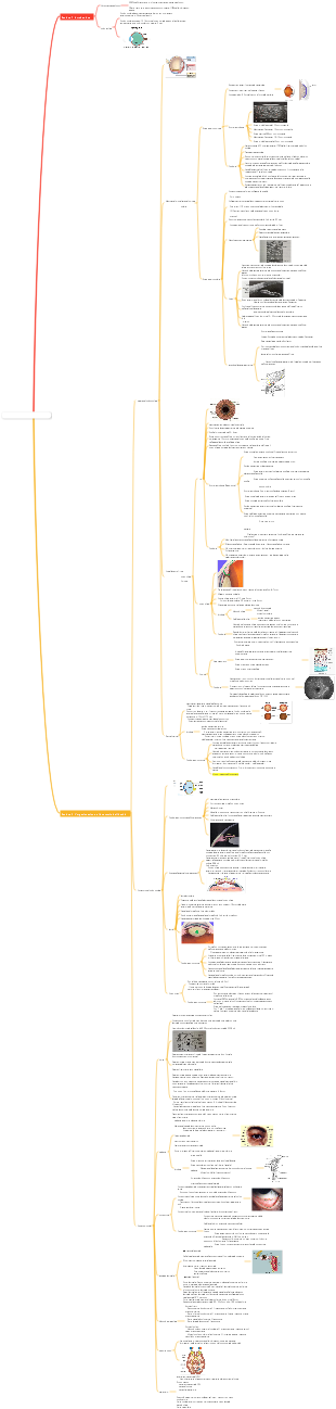 FONDAMENTI DI OFTALMOLOGIA